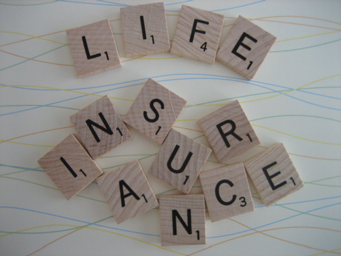 life_insurance_costcoinsurance.net